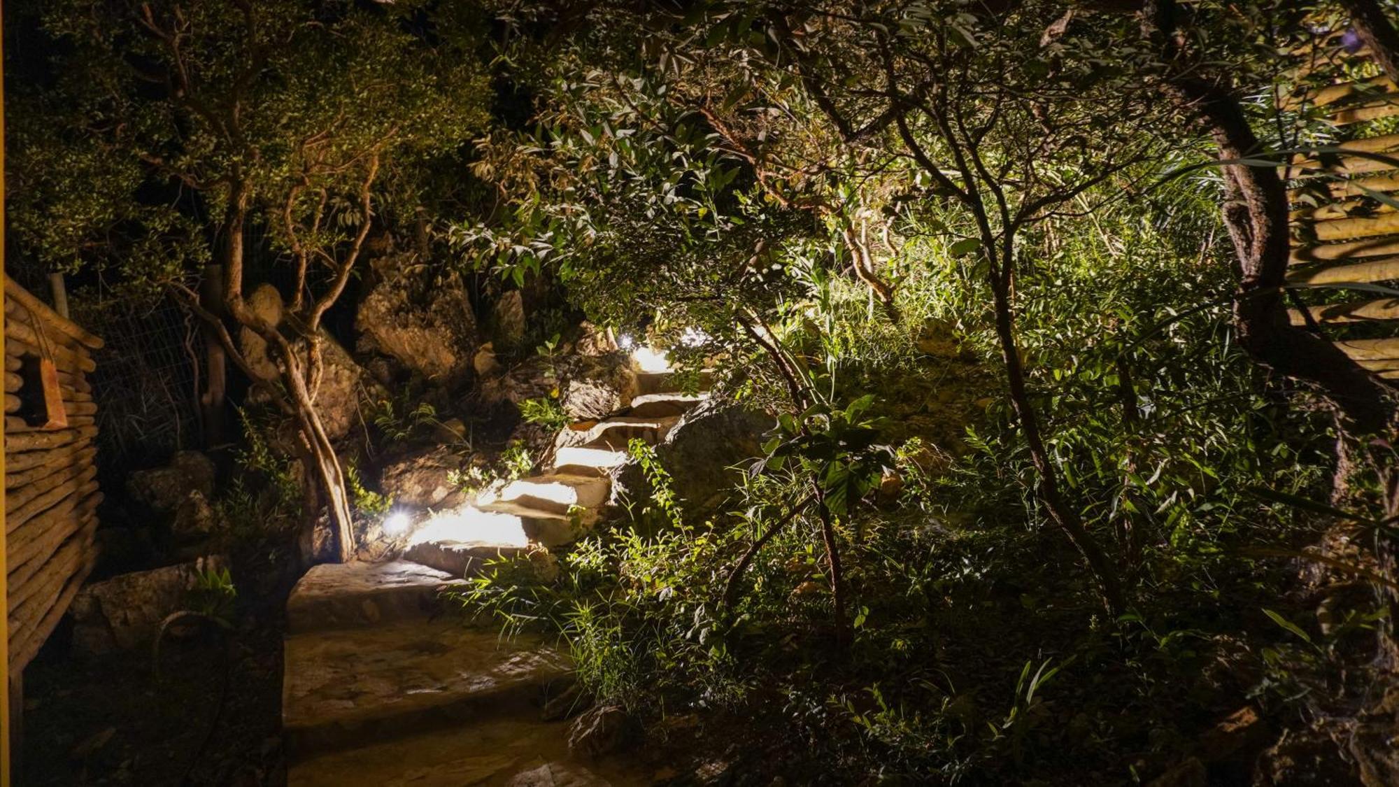 Vila Flor - Chapada dos Veadeiros Alto Paraíso de Goiás Exterior foto